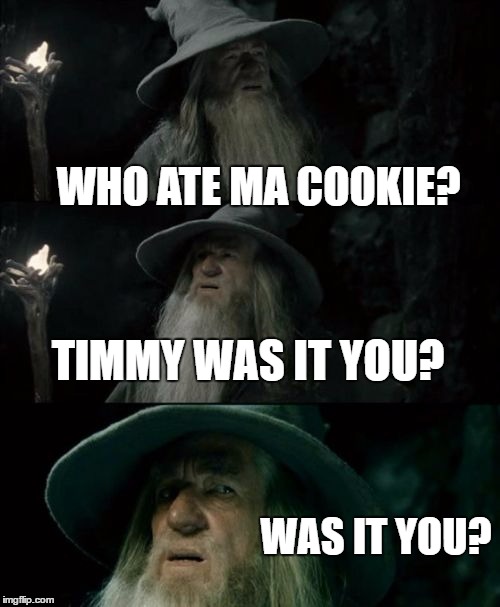 Confused Gandalf Meme | WHO ATE MA COOKIE? TIMMY WAS IT YOU? WAS IT YOU? | image tagged in memes,confused gandalf | made w/ Imgflip meme maker