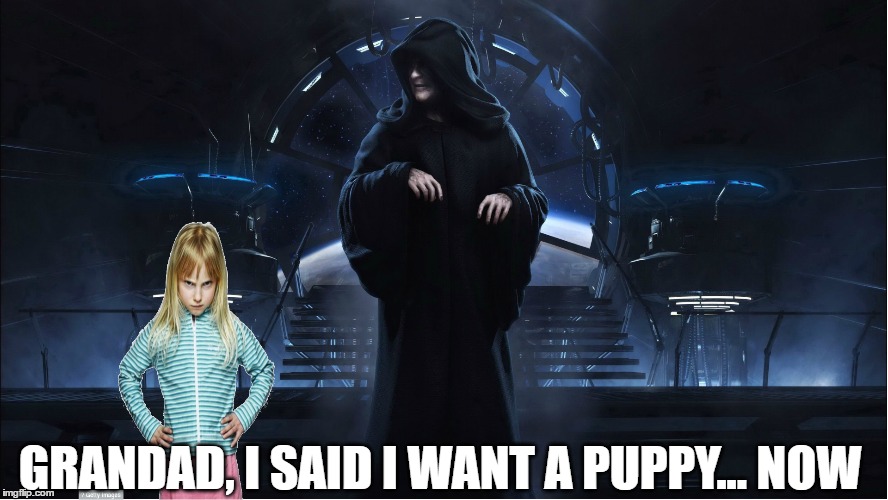 baby sitting be like | GRANDAD, I SAID I WANT A PUPPY... NOW | image tagged in memes,star wars,evil,first world problems,children,evil toddler | made w/ Imgflip meme maker