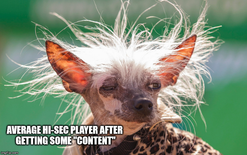 AVERAGE HI-SEC PLAYER AFTER GETTING SOME "CONTENT" | made w/ Imgflip meme maker