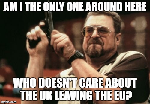 Am I The Only One Around Here | AM I THE ONLY ONE AROUND HERE; WHO DOESN'T CARE ABOUT THE UK LEAVING THE EU? | image tagged in memes,am i the only one around here | made w/ Imgflip meme maker