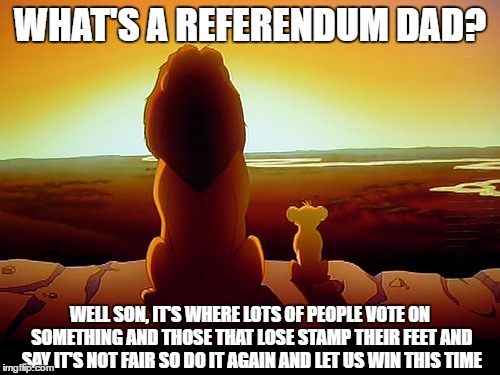 Lion King | WHAT'S A REFERENDUM DAD? WELL SON, IT'S WHERE LOTS OF PEOPLE VOTE ON SOMETHING AND THOSE THAT LOSE STAMP THEIR FEET AND SAY IT'S NOT FAIR SO DO IT AGAIN AND LET US WIN THIS TIME | image tagged in memes,lion king | made w/ Imgflip meme maker