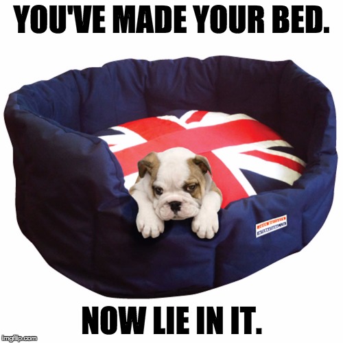 Brexit Bed | YOU'VE MADE YOUR BED. NOW LIE IN IT. | image tagged in brexit,leave,bed,consequences | made w/ Imgflip meme maker