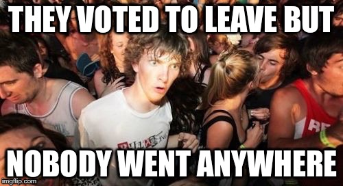THEY VOTED TO LEAVE BUT NOBODY WENT ANYWHERE | made w/ Imgflip meme maker