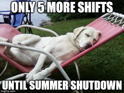 Dog Days of Summer | ONLY 5 MORE SHIFTS; UNTIL SUMMER SHUTDOWN | image tagged in dog days of summer | made w/ Imgflip meme maker