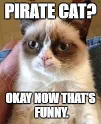 https://www.youtube.com/watch?v=7WZPysRdP8A | PIRATE CAT? OKAY NOW THAT'S FUNNY. | image tagged in grumpy cat smile,grumpy cat,memes,funny | made w/ Imgflip meme maker