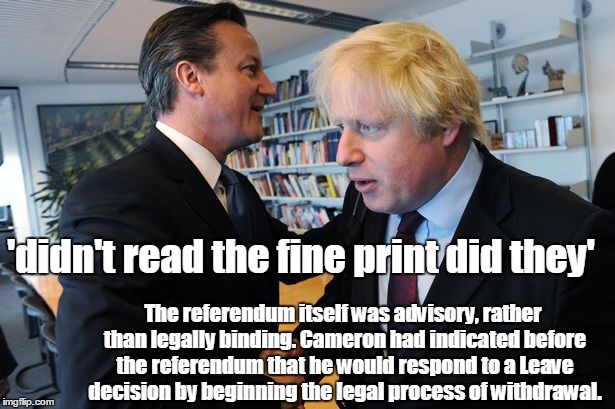 fine print | 'didn't read the fine print did they'; The referendum itself was advisory, rather than legally binding. Cameron had indicated before the referendum that he would respond to a Leave decision by beginning the legal process of withdrawal. | image tagged in boris johnson,eu referendum,vote leave,united kingdom,funny,politics | made w/ Imgflip meme maker