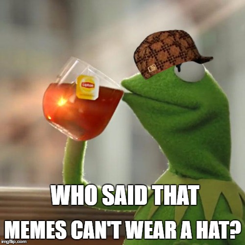But That's None Of My Business Meme | MEMES CAN'T WEAR A HAT? WHO SAID THAT | image tagged in memes,but thats none of my business,kermit the frog,scumbag | made w/ Imgflip meme maker