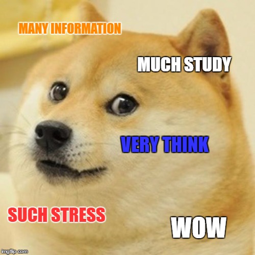Doge Meme | MANY INFORMATION; MUCH STUDY; VERY THINK; SUCH STRESS; WOW | image tagged in memes,doge | made w/ Imgflip meme maker