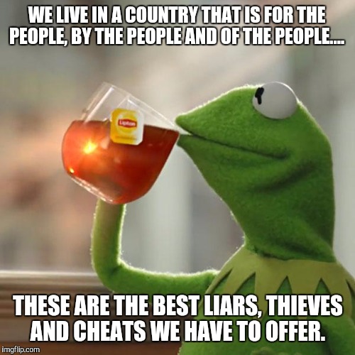 But That's None Of My Business Meme | WE LIVE IN A COUNTRY THAT IS FOR THE PEOPLE, BY THE PEOPLE AND OF THE PEOPLE.... THESE ARE THE BEST LIARS, THIEVES AND CHEATS WE HAVE TO OFF | image tagged in memes,but thats none of my business,kermit the frog | made w/ Imgflip meme maker