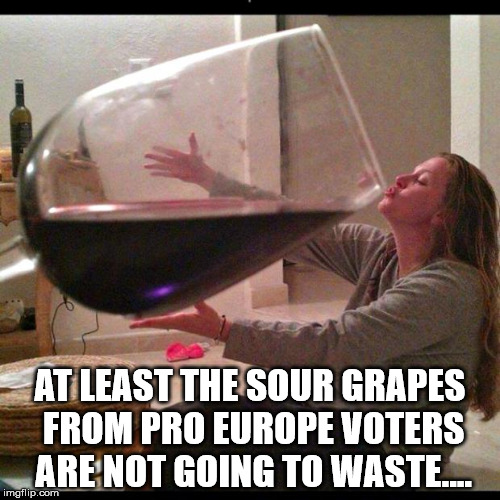 EU Whingers | AT LEAST THE SOUR GRAPES FROM PRO EUROPE VOTERS ARE NOT GOING TO WASTE.... | image tagged in wine drinker,eu,brexit,eu referendum,referendum,politics | made w/ Imgflip meme maker