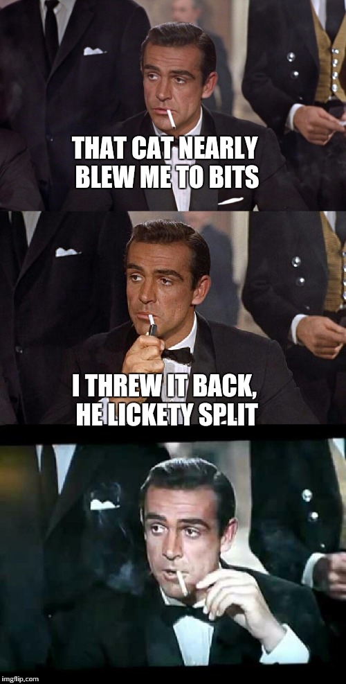 THAT CAT NEARLY BLEW ME TO BITS; I THREW IT BACK, HE LICKETY SPLIT | made w/ Imgflip meme maker