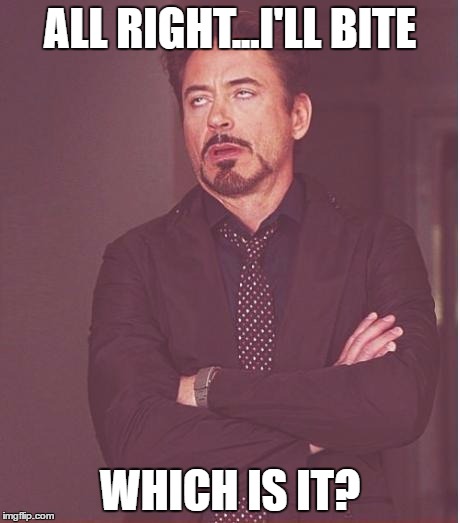 Face You Make Robert Downey Jr Meme | ALL RIGHT...I'LL BITE WHICH IS IT? | image tagged in memes,face you make robert downey jr | made w/ Imgflip meme maker