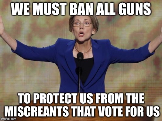 Liberal World Problems | WE MUST BAN ALL GUNS; TO PROTECT US FROM THE MISCREANTS THAT VOTE FOR US | image tagged in elizabeth warren,memes,politics,political meme | made w/ Imgflip meme maker