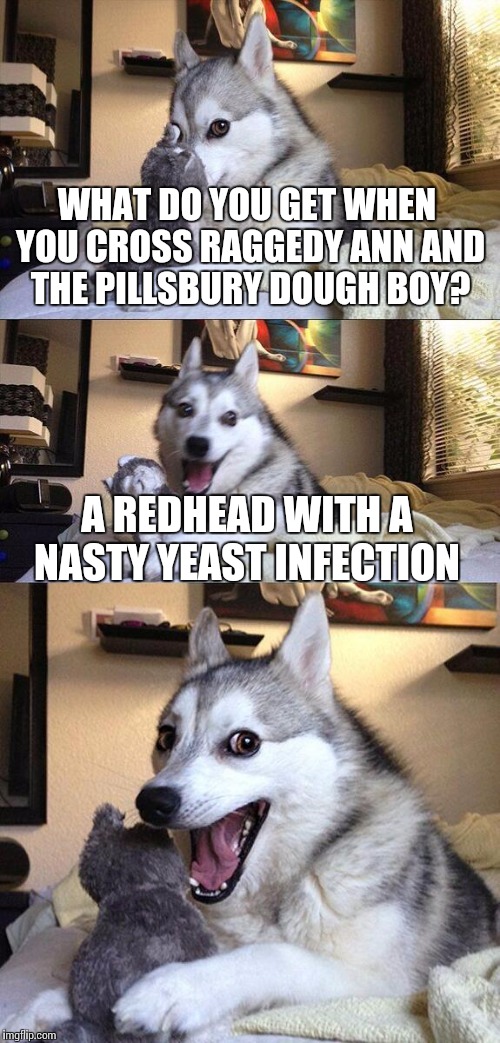 Bad Pun Dog | WHAT DO YOU GET WHEN YOU CROSS RAGGEDY ANN AND THE PILLSBURY DOUGH BOY? A REDHEAD WITH A NASTY YEAST INFECTION | image tagged in memes,bad pun dog | made w/ Imgflip meme maker