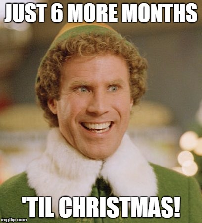 Buddy The Elf | JUST 6 MORE MONTHS; 'TIL CHRISTMAS! | image tagged in memes,buddy the elf | made w/ Imgflip meme maker