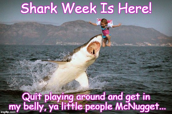 Shark Week Is Here! Quit playing around and get in my belly, ya little people McNugget... | image tagged in shark gets snack | made w/ Imgflip meme maker