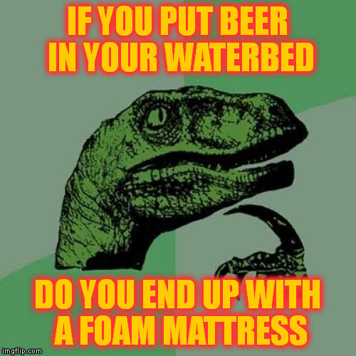 Philosoraptor Meme | IF YOU PUT BEER IN YOUR WATERBED; DO YOU END UP WITH A FOAM MATTRESS | image tagged in memes,philosoraptor | made w/ Imgflip meme maker