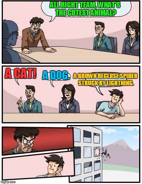 Boardroom Meeting Suggestion Meme | ALL RIGHT TEAM, WHAT'S THE CUTEST ANIMAL? A CAT! A DOG. A BROWN RECLUSE SPIDER STRUCK BY LIGHTNING. | image tagged in memes,boardroom meeting suggestion | made w/ Imgflip meme maker