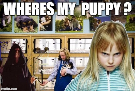 but this ones cute... | WHERES MY  PUPPY ? | image tagged in memes,bad pun dog,star wars,evil toddler | made w/ Imgflip meme maker