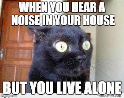 Scared Cat | WHEN YOU HEAR A NOISE IN YOUR HOUSE; BUT YOU LIVE ALONE | image tagged in scared cat,memes | made w/ Imgflip meme maker
