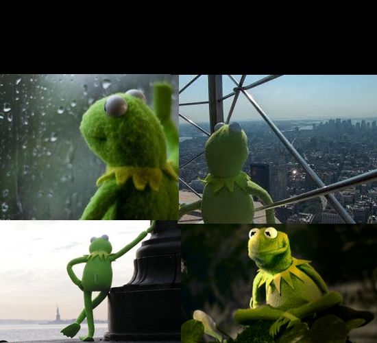 All Memes. sad Kermit. 