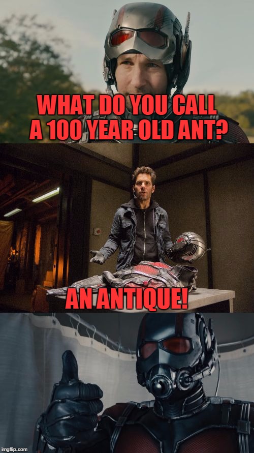 Bad Pun Ant-Man | WHAT DO YOU CALL A 100 YEAR OLD ANT? AN ANTIQUE! | image tagged in bad pun ant-man,funny,memes,bad pun,ant-man,marvel | made w/ Imgflip meme maker