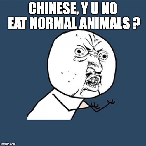 Y U No Meme | CHINESE, Y U NO EAT NORMAL ANIMALS
? | image tagged in memes,y u no | made w/ Imgflip meme maker