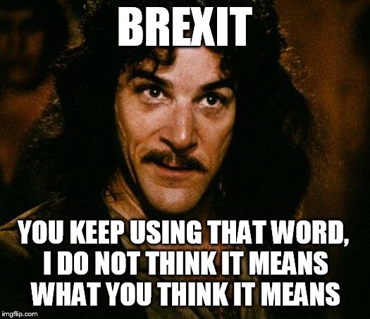Inigo Montoya Meme | BREXIT; YOU KEEP USING THAT WORD, I DO NOT THINK IT MEANS WHAT YOU THINK IT MEANS | image tagged in memes,inigo montoya | made w/ Imgflip meme maker