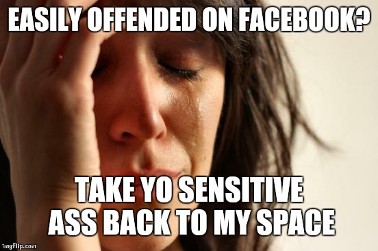 First World Problems | EASILY OFFENDED ON FACEBOOK? TAKE YO SENSITIVE ASS BACK TO MY SPACE | image tagged in memes,first world problems | made w/ Imgflip meme maker