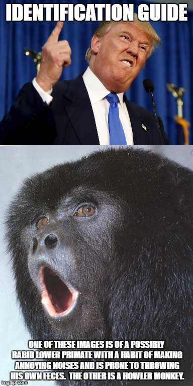 IDENTIFICATION GUIDE; ONE OF THESE IMAGES IS OF A POSSIBLY RABID LOWER PRIMATE WITH A HABIT OF MAKING ANNOYING NOISES AND IS PRONE TO THROWING HIS OWN FECES.  THE OTHER IS A HOWLER MONKEY. | made w/ Imgflip meme maker