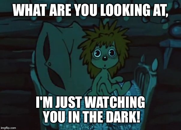 Staring in the dark | WHAT ARE YOU LOOKING AT, I'M JUST WATCHING YOU IN THE DARK! | image tagged in hedgehog,studio ekran | made w/ Imgflip meme maker