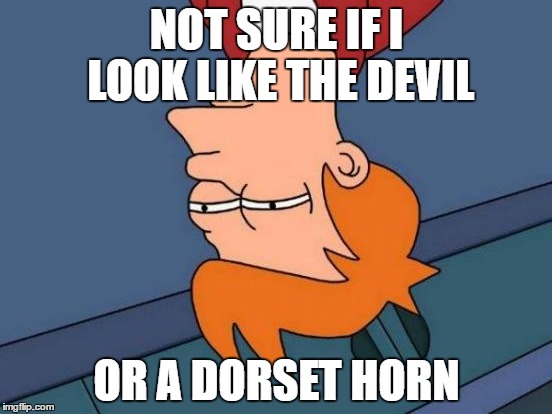 Futurama Fry | NOT SURE IF I LOOK LIKE THE DEVIL; OR A DORSET HORN | image tagged in memes,futurama fry | made w/ Imgflip meme maker