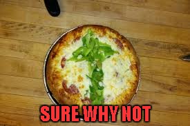 SURE WHY NOT | made w/ Imgflip meme maker