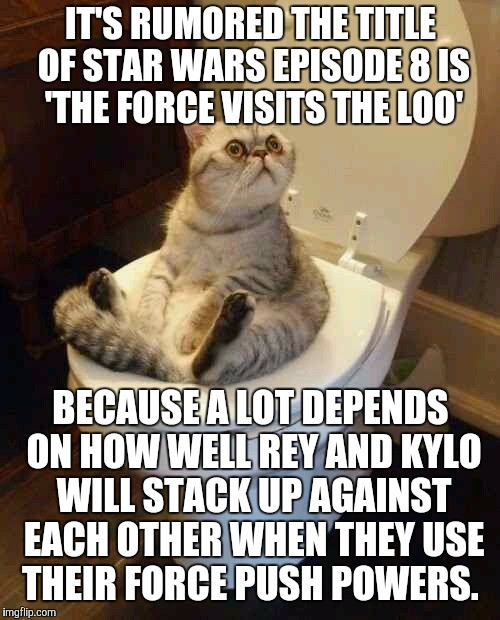 That means they'll be going head to head | IT'S RUMORED THE TITLE OF STAR WARS EPISODE 8 IS 'THE FORCE VISITS THE LOO'; BECAUSE A LOT DEPENDS ON HOW WELL REY AND KYLO WILL STACK UP AGAINST EACH OTHER WHEN THEY USE THEIR FORCE PUSH POWERS. | image tagged in toilet cat,the force visits the loo,rey and kylo,stack up against each other,force push powers | made w/ Imgflip meme maker