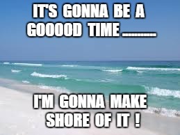 Navarre Beach  | IT'S  GONNA  BE  A  GOOOOD  TIME ........... I'M  GONNA  MAKE  SHORE  OF  IT  ! | image tagged in navarre beach | made w/ Imgflip meme maker