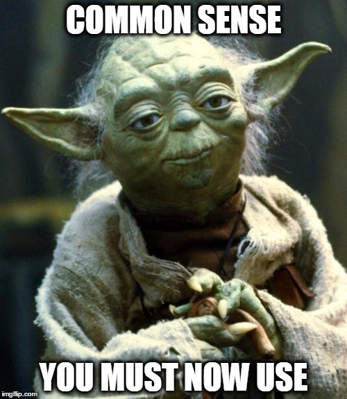 Star Wars Yoda | COMMON SENSE; YOU MUST NOW USE | image tagged in memes,star wars yoda | made w/ Imgflip meme maker
