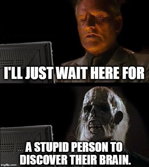 I'll Just Wait Here Meme | I'LL JUST WAIT HERE FOR; A STUPID PERSON TO DISCOVER THEIR BRAIN. | image tagged in memes,ill just wait here | made w/ Imgflip meme maker