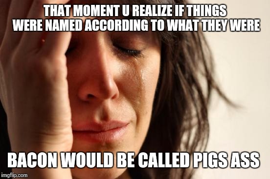 First World Problems | THAT MOMENT U REALIZE IF THINGS WERE NAMED ACCORDING TO WHAT THEY WERE; BACON WOULD BE CALLED PIGS ASS | image tagged in memes,first world problems | made w/ Imgflip meme maker