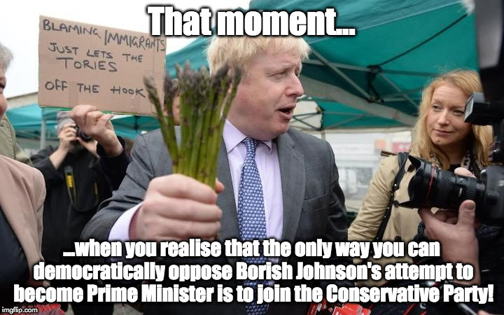 That moment...when you realise that the only way you can democratically oppose Borish Johnson's attempt to become Prime Minister | That moment... ...when you realise that the only way you can democratically oppose Borish Johnson's attempt to become Prime Minister is to join the Conservative Party! | image tagged in boris johnson asparagus | made w/ Imgflip meme maker