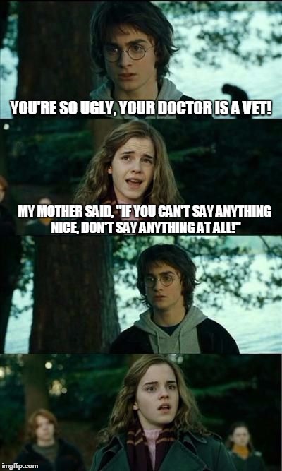 Mean Harry | YOU'RE SO UGLY, YOUR DOCTOR IS A VET! MY MOTHER SAID, "IF YOU CAN'T SAY ANYTHING NICE, DON'T SAY ANYTHING AT ALL!" | image tagged in harry is a meanie,memes,mean harry | made w/ Imgflip meme maker