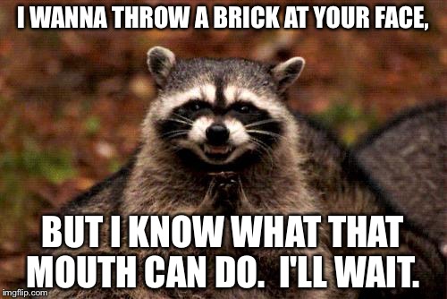Evil Plotting Raccoon Meme | I WANNA THROW A BRICK AT YOUR FACE, BUT I KNOW WHAT THAT MOUTH CAN DO.  I'LL WAIT. | image tagged in memes,evil plotting raccoon | made w/ Imgflip meme maker