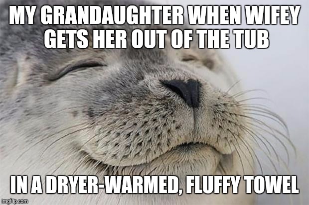 Satisfied Seal | MY GRANDAUGHTER WHEN WIFEY GETS HER OUT OF THE TUB; IN A DRYER-WARMED, FLUFFY TOWEL | image tagged in memes,satisfied seal | made w/ Imgflip meme maker