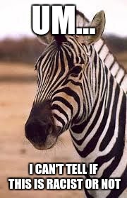 Confused Zebra | UM... I CAN'T TELL IF THIS IS RACIST OR NOT | image tagged in confused zebra | made w/ Imgflip meme maker