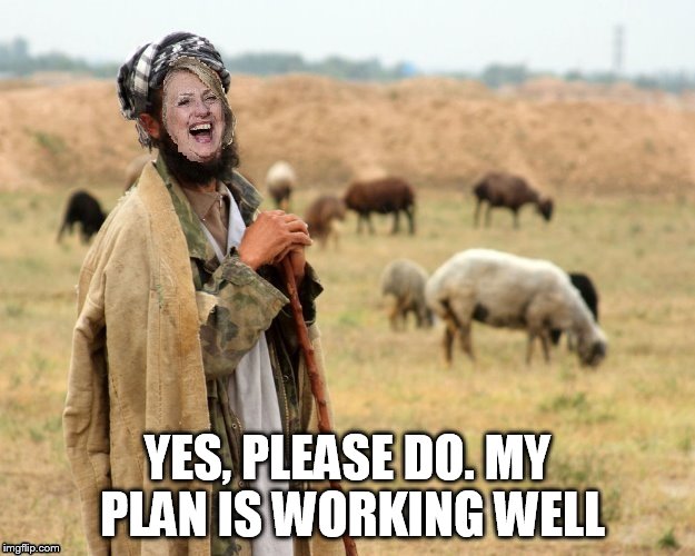 Hillary Sheep Herder | YES, PLEASE DO. MY PLAN IS WORKING WELL | image tagged in hillary sheep herder | made w/ Imgflip meme maker