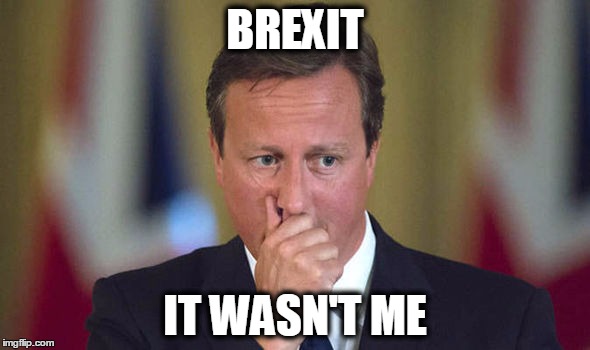 BREXIT | BREXIT; IT WASN'T ME | image tagged in brexit,meme | made w/ Imgflip meme maker