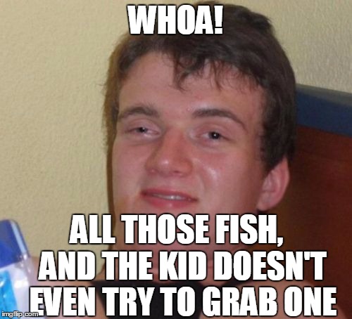 10 Guy Meme | WHOA! ALL THOSE FISH,  AND THE KID DOESN'T EVEN TRY TO GRAB ONE | image tagged in memes,10 guy | made w/ Imgflip meme maker