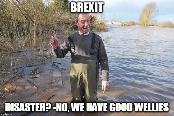 BREXIT | BREXIT; DISASTER? -NO, WE HAVE GOOD WELLIES | image tagged in brexit | made w/ Imgflip meme maker