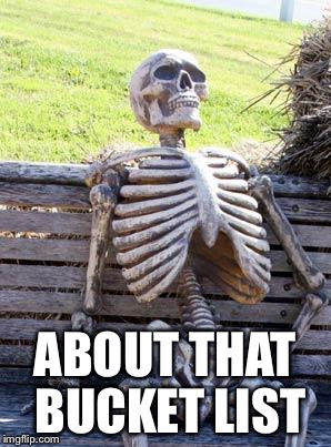 Waiting Skeleton Meme | ABOUT THAT BUCKET LIST | image tagged in memes,waiting skeleton | made w/ Imgflip meme maker