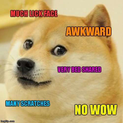 Doge Meme | MUCH LICK FACE AWKWARD VERY BED SHARED MANY SCRATCHES NO WOW | image tagged in memes,doge | made w/ Imgflip meme maker