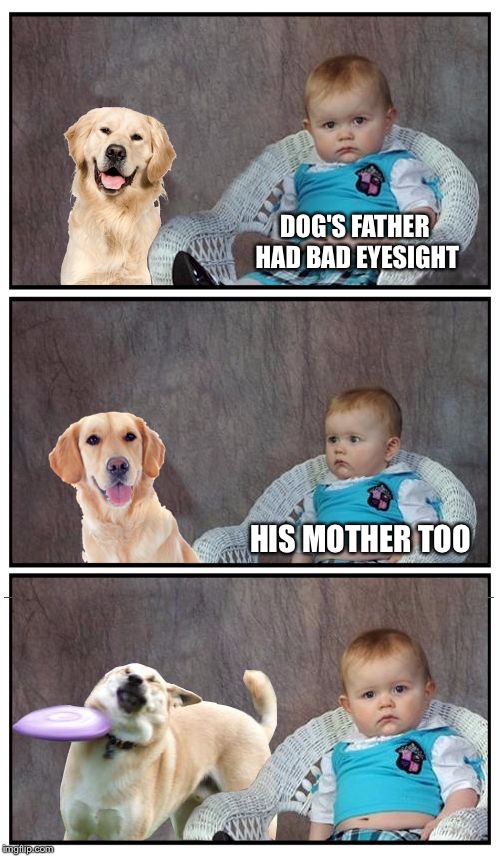 Dad Joke Frisbee Dog | DOG'S FATHER HAD BAD EYESIGHT HIS MOTHER TOO | image tagged in dad joke frisbee dog | made w/ Imgflip meme maker